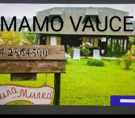 Holiday Home Vila Milka Kremna Екстериор снимка