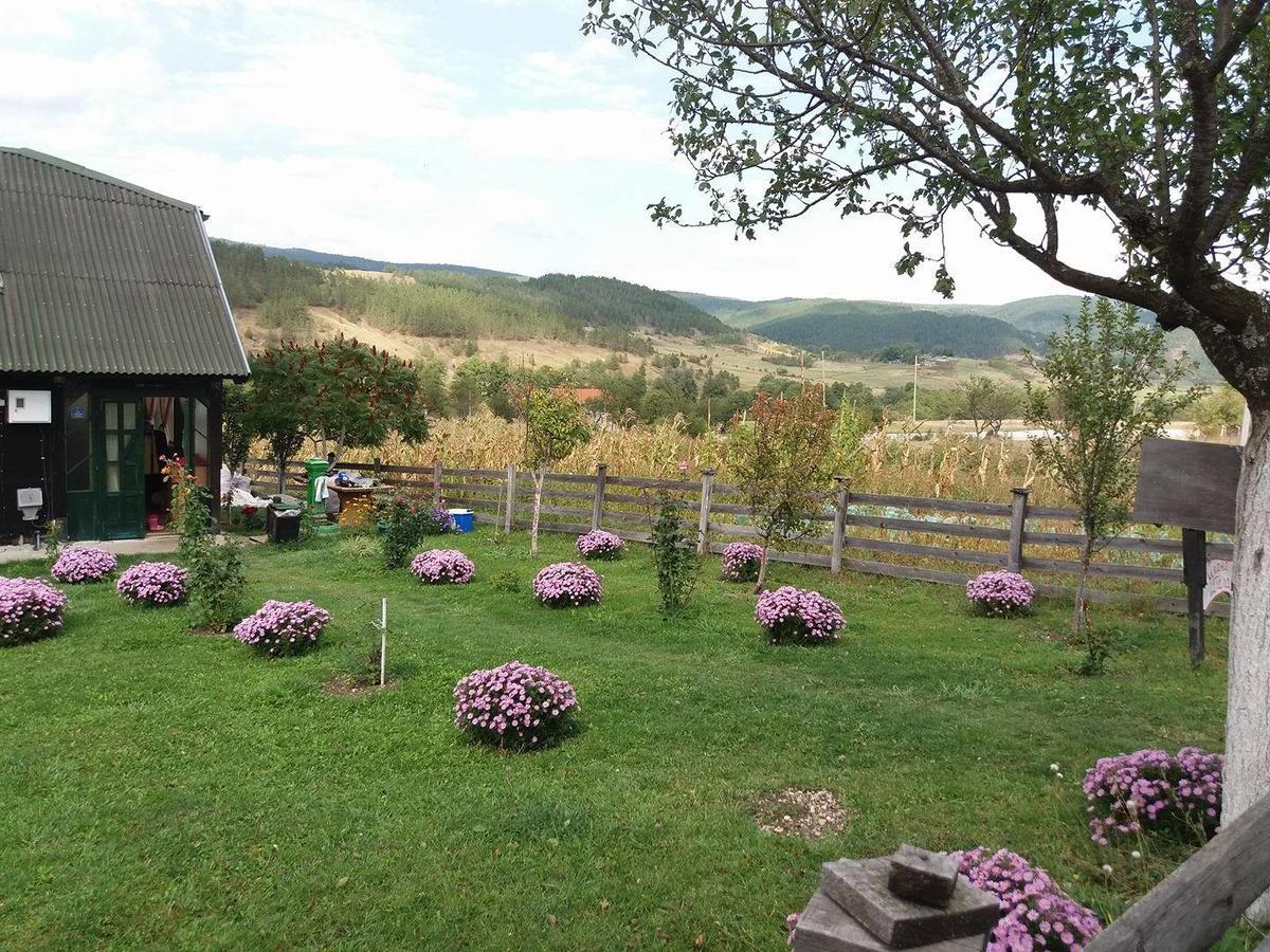 Holiday Home Vila Milka Kremna Екстериор снимка