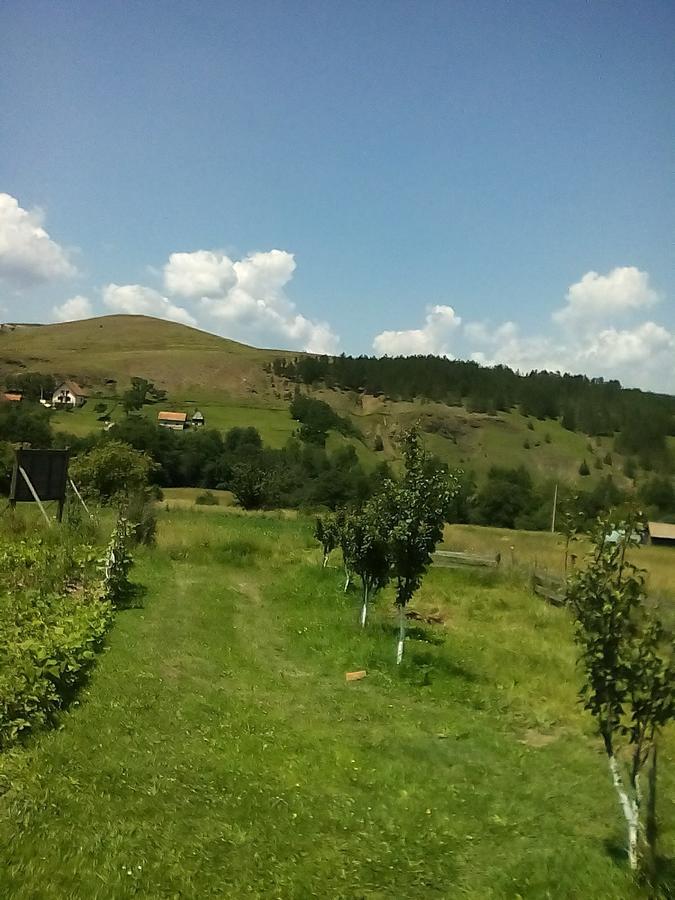 Holiday Home Vila Milka Kremna Екстериор снимка
