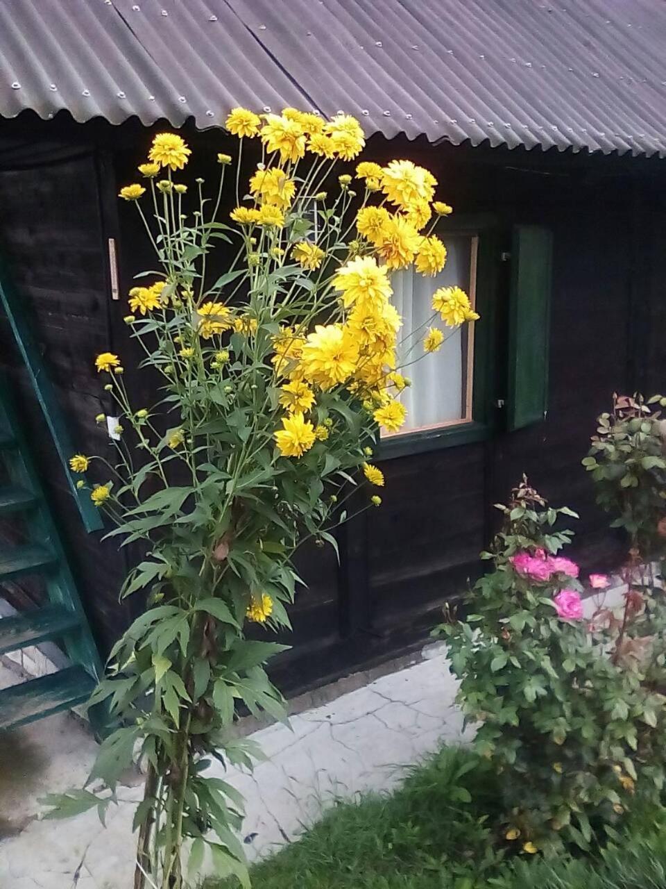 Holiday Home Vila Milka Kremna Екстериор снимка